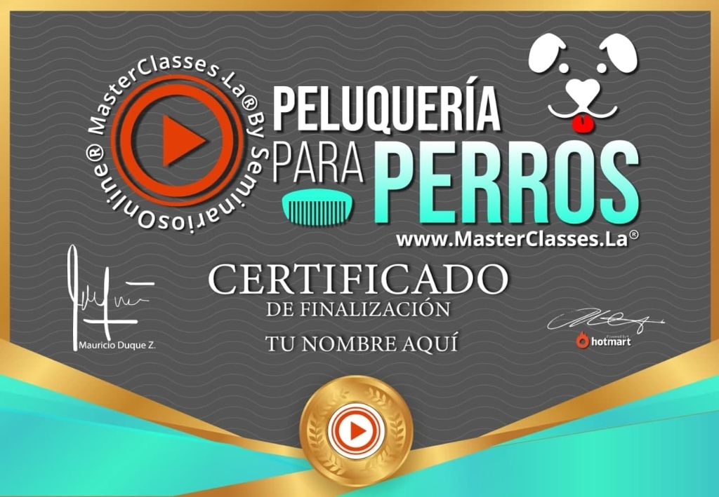 Certificado peluqueria